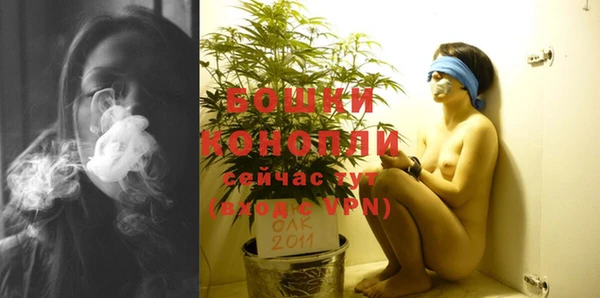 PSILOCYBIN Корсаков