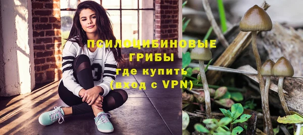 PSILOCYBIN Корсаков