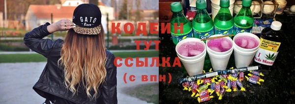 PSILOCYBIN Корсаков