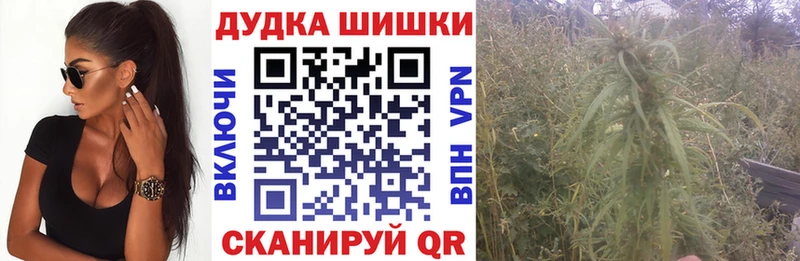 Бошки Шишки гибрид  Купить где  Заволжск 